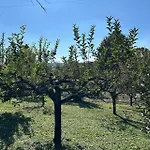 Casa Ambrogina 别墅 *
