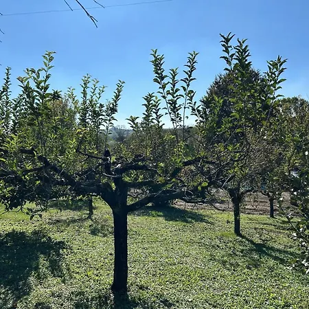 Casa Ambrogina Vila *