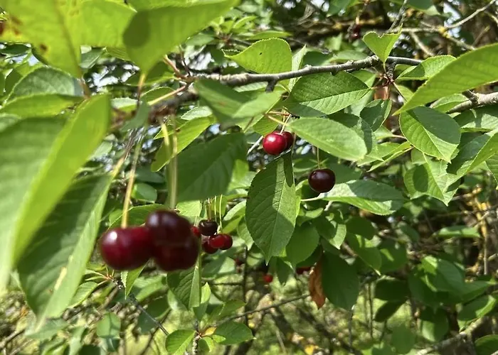 Casa Ambrogina Agliano Terme