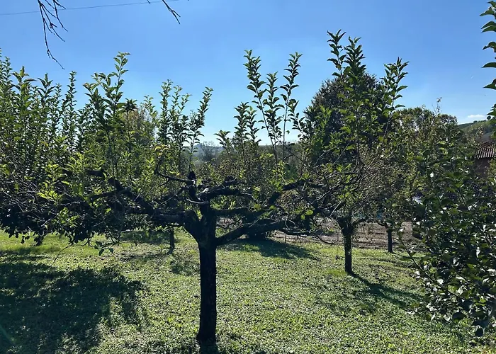 Casa Ambrogina فيلة *